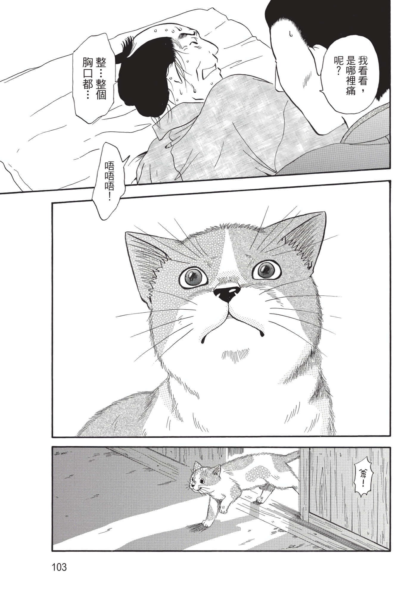 猫绘十兵卫 御伽草纸【1-25卷 11-25卷是生肉】【猫絵十兵衛 御伽草紙／貓繪十兵衛 御伽草紙 】-10