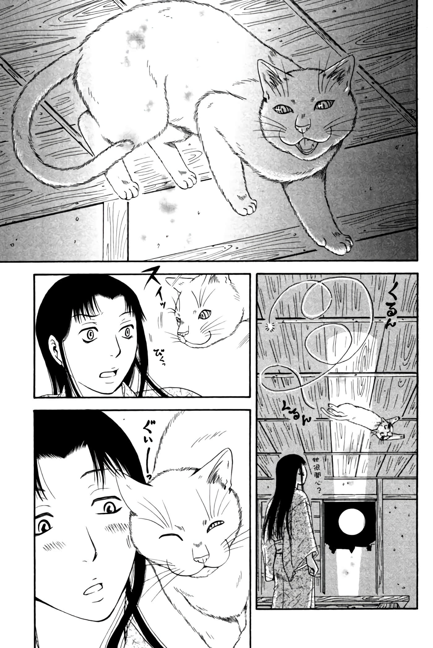 猫绘十兵卫 御伽草纸【1-25卷 11-25卷是生肉】【猫絵十兵衛 御伽草紙／貓繪十兵衛 御伽草紙 】-2