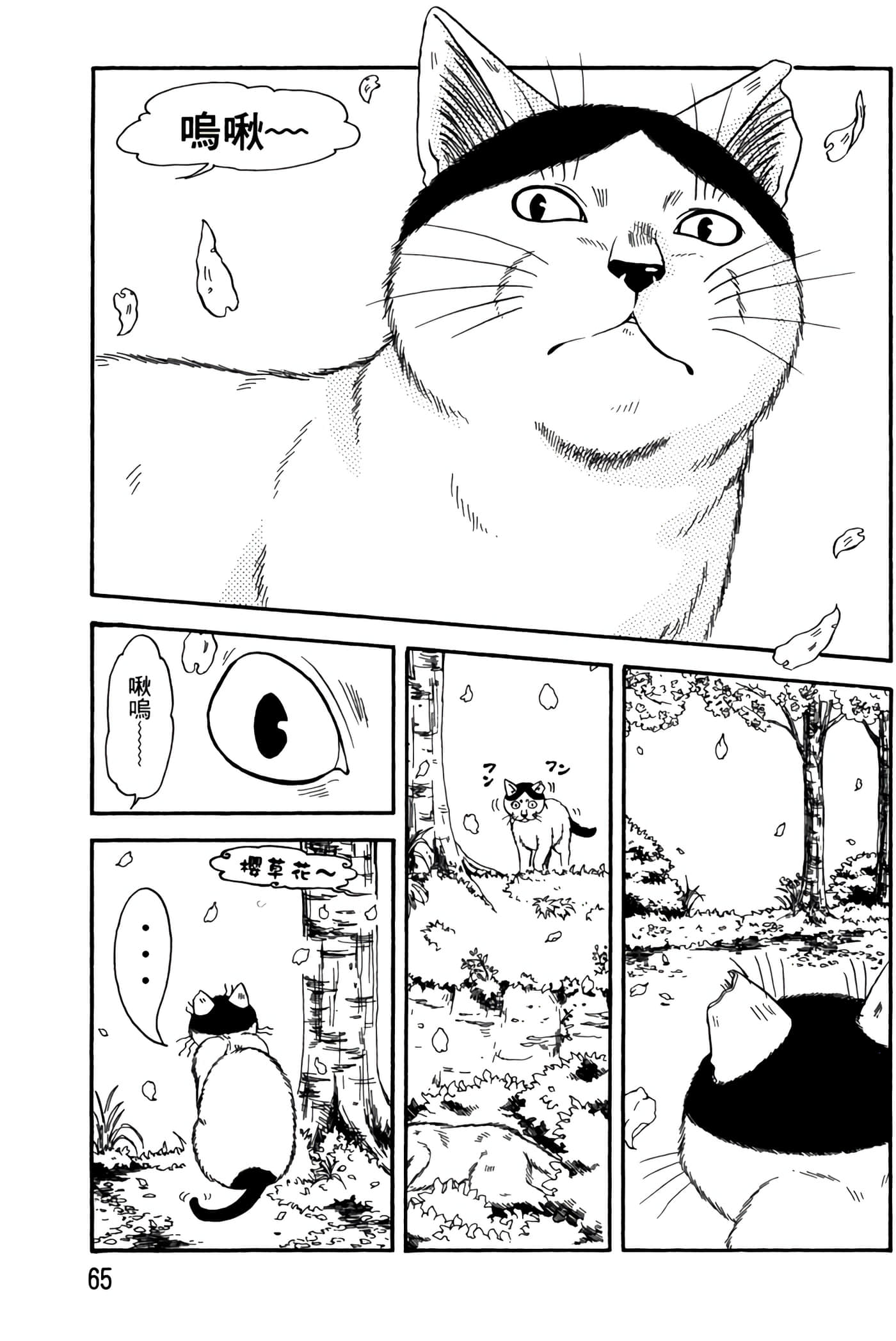 猫绘十兵卫 御伽草纸【1-25卷 11-25卷是生肉】【猫絵十兵衛 御伽草紙／貓繪十兵衛 御伽草紙 】-3