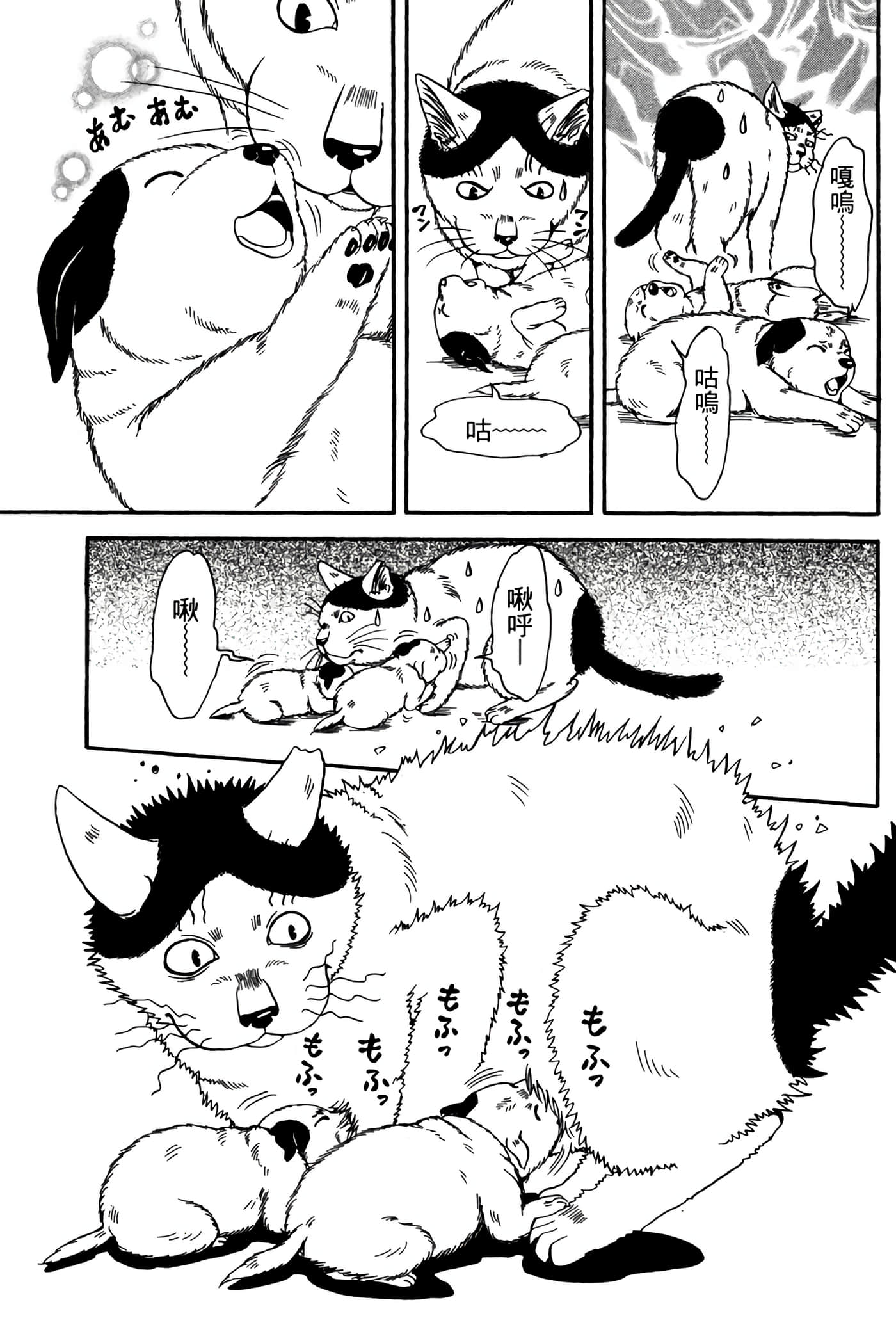 猫绘十兵卫 御伽草纸【1-25卷 11-25卷是生肉】【猫絵十兵衛 御伽草紙／貓繪十兵衛 御伽草紙 】-3