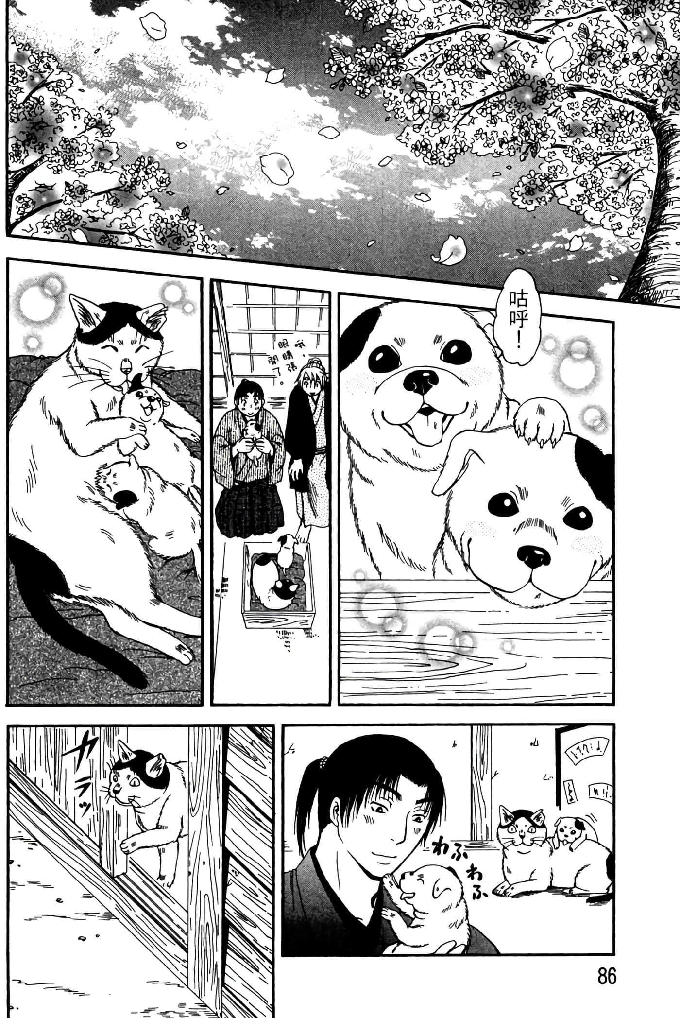 猫绘十兵卫 御伽草纸【1-25卷 11-25卷是生肉】【猫絵十兵衛 御伽草紙／貓繪十兵衛 御伽草紙 】-3