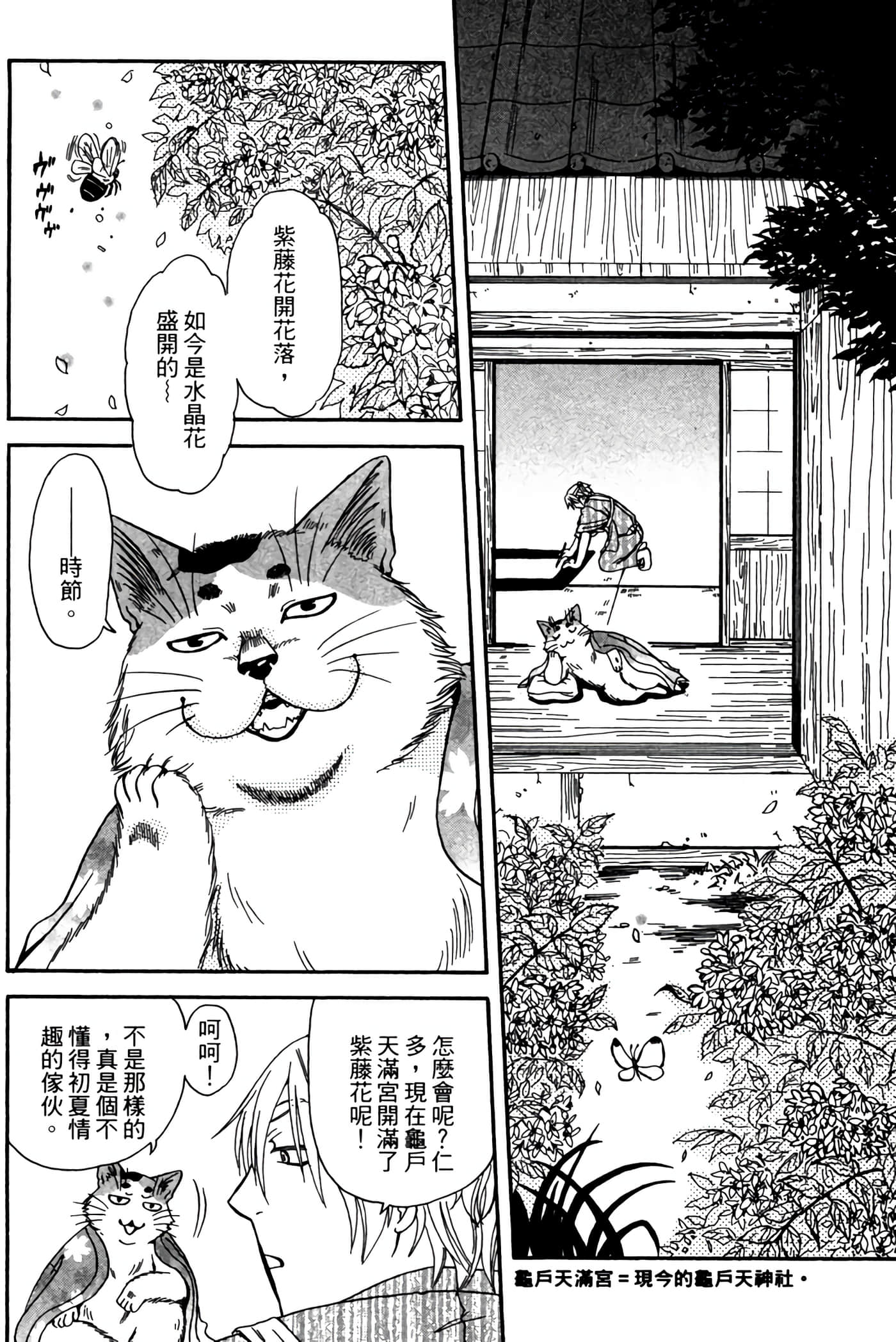 猫绘十兵卫 御伽草纸【1-25卷 11-25卷是生肉】【猫絵十兵衛 御伽草紙／貓繪十兵衛 御伽草紙 】-3
