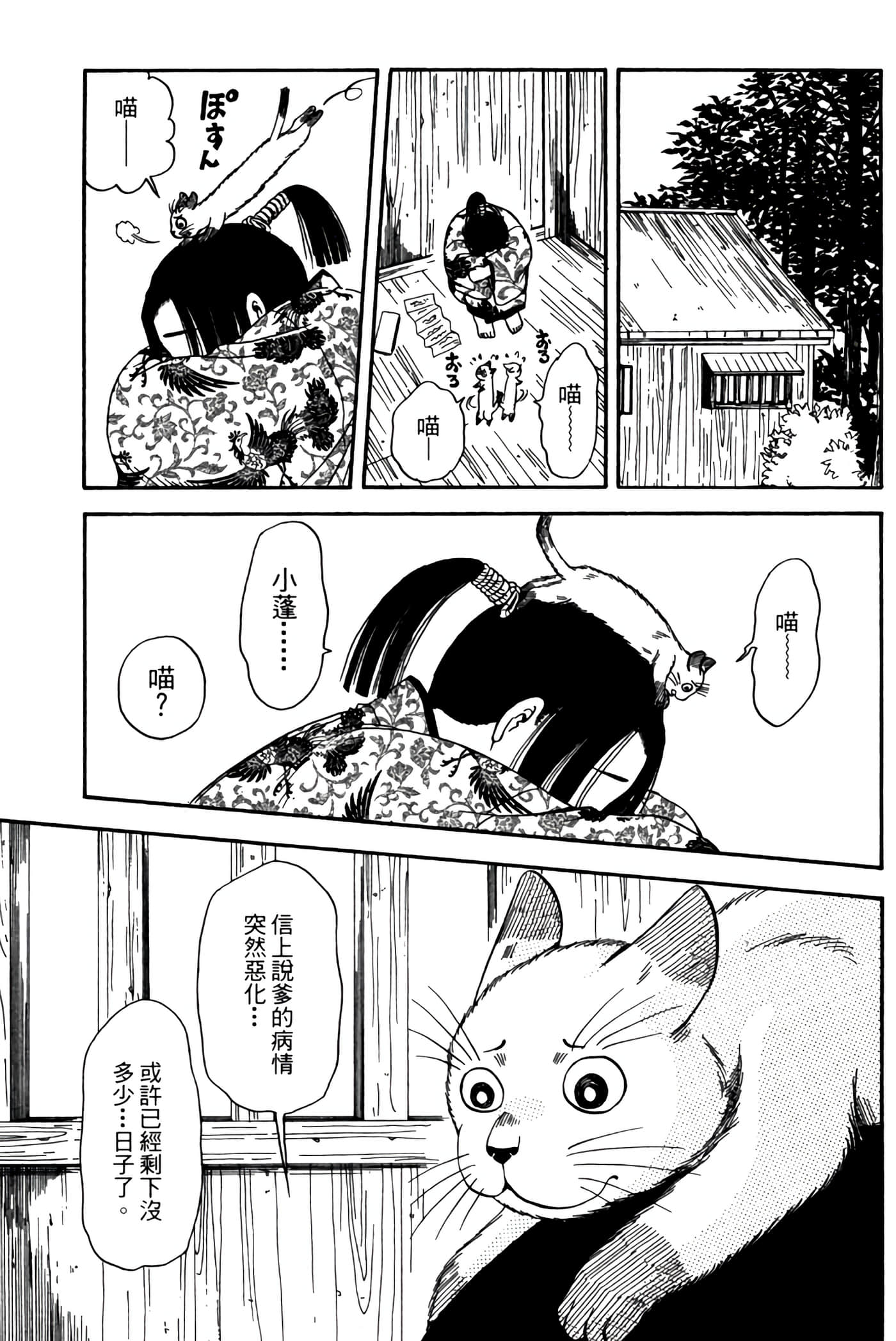 猫绘十兵卫 御伽草纸【1-25卷 11-25卷是生肉】【猫絵十兵衛 御伽草紙／貓繪十兵衛 御伽草紙 】-3