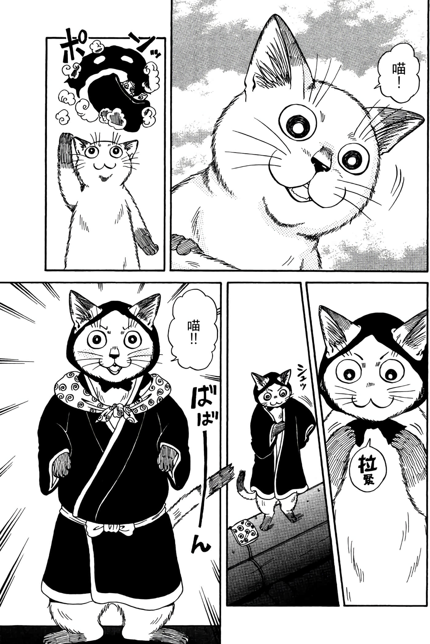 猫绘十兵卫 御伽草纸【1-25卷 11-25卷是生肉】【猫絵十兵衛 御伽草紙／貓繪十兵衛 御伽草紙 】-3