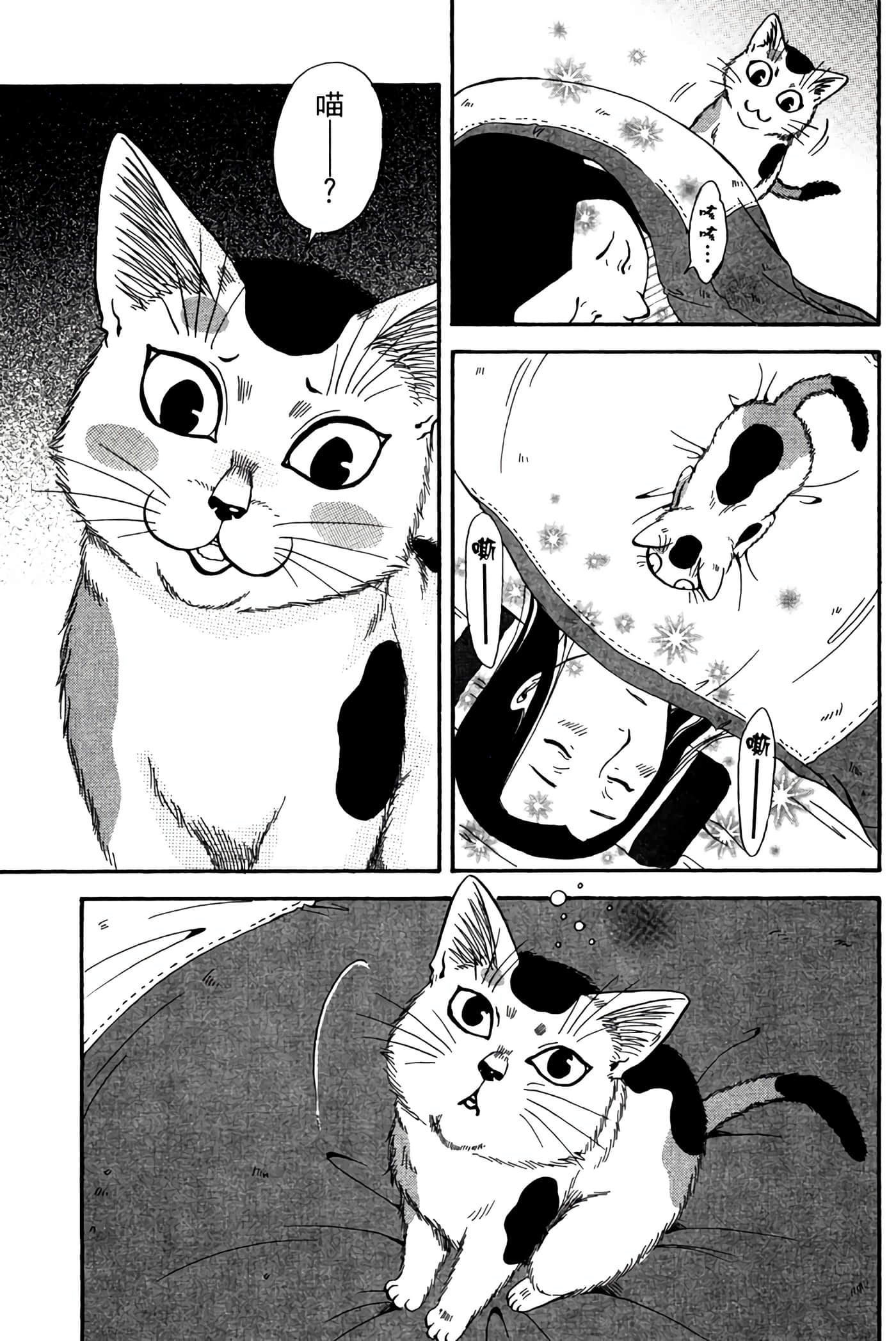 猫绘十兵卫 御伽草纸【1-25卷 11-25卷是生肉】【猫絵十兵衛 御伽草紙／貓繪十兵衛 御伽草紙 】-3