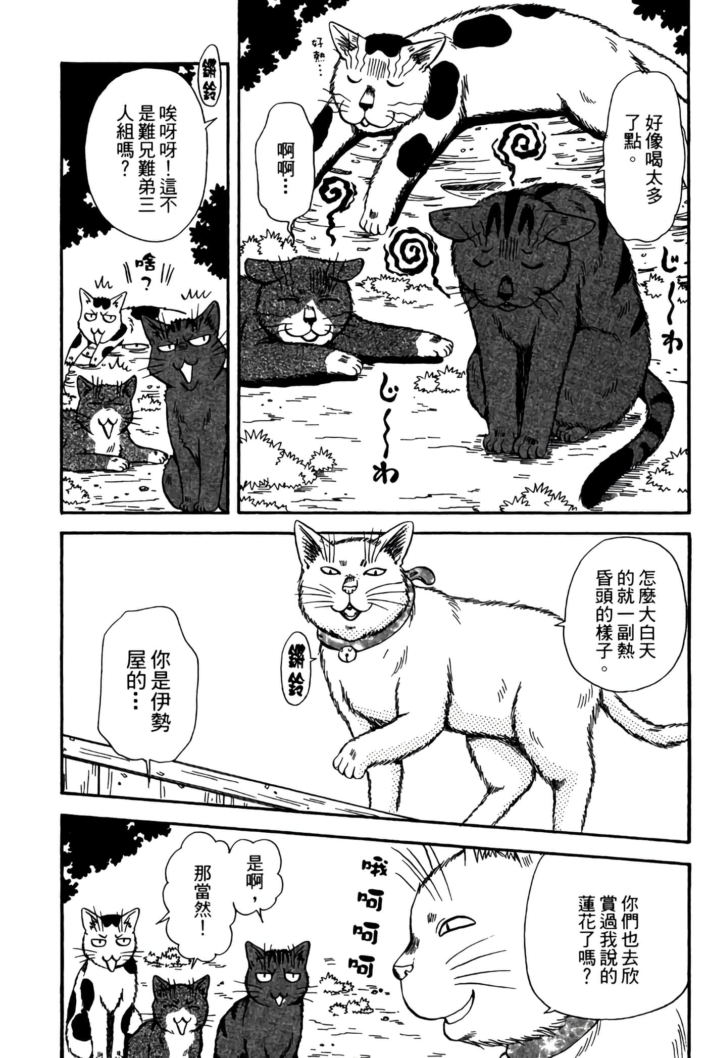 猫绘十兵卫 御伽草纸【1-25卷 11-25卷是生肉】【猫絵十兵衛 御伽草紙／貓繪十兵衛 御伽草紙 】-3