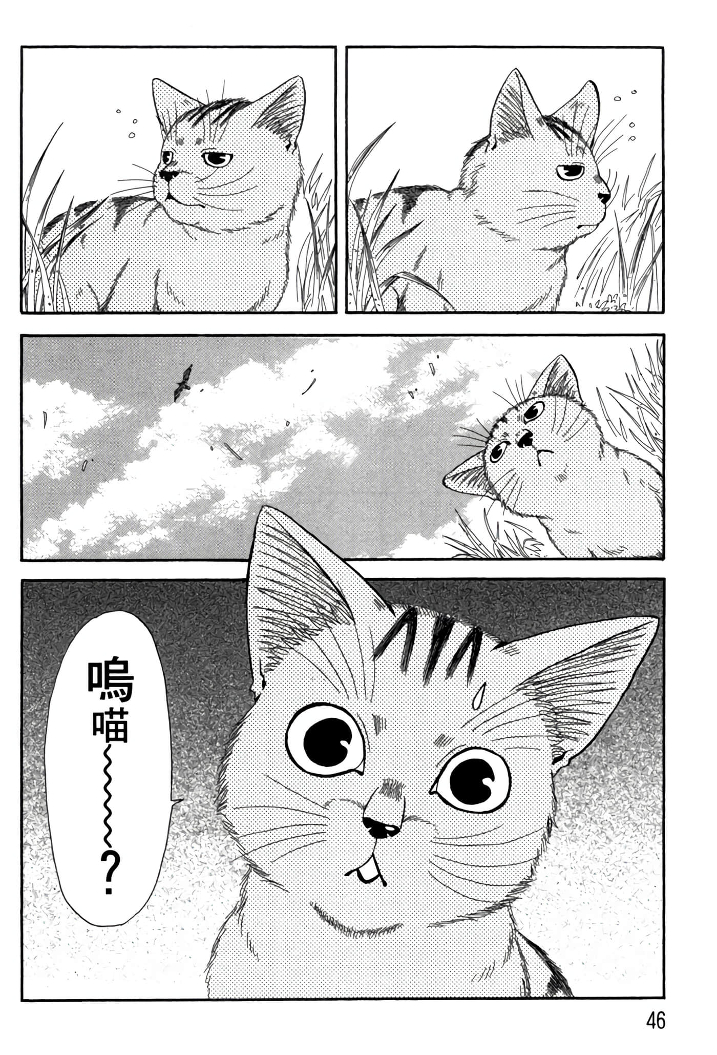 猫绘十兵卫 御伽草纸【1-25卷 11-25卷是生肉】【猫絵十兵衛 御伽草紙／貓繪十兵衛 御伽草紙 】-5