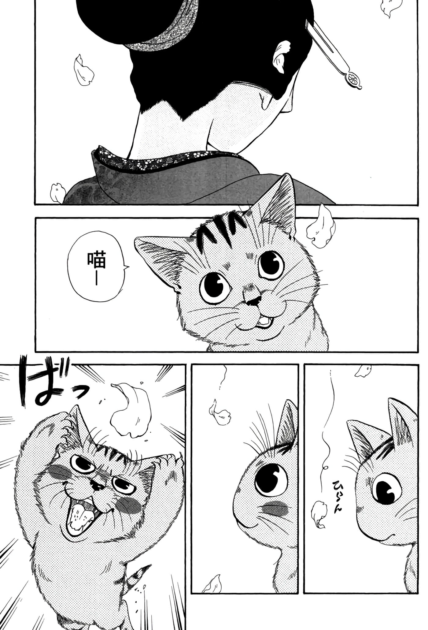 猫绘十兵卫 御伽草纸【1-25卷 11-25卷是生肉】【猫絵十兵衛 御伽草紙／貓繪十兵衛 御伽草紙 】-5
