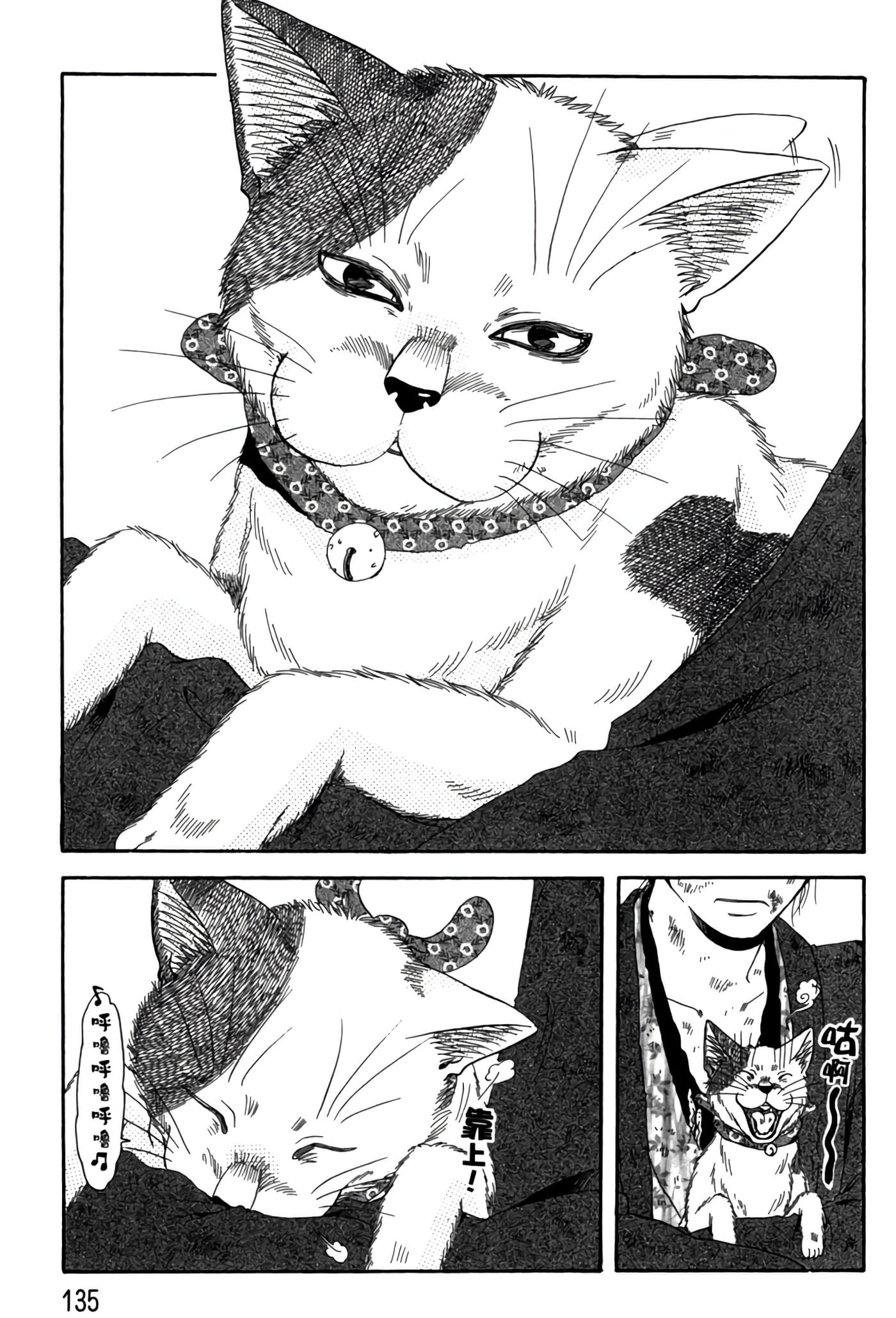 猫绘十兵卫 御伽草纸【1-25卷 11-25卷是生肉】【猫絵十兵衛 御伽草紙／貓繪十兵衛 御伽草紙 】-6