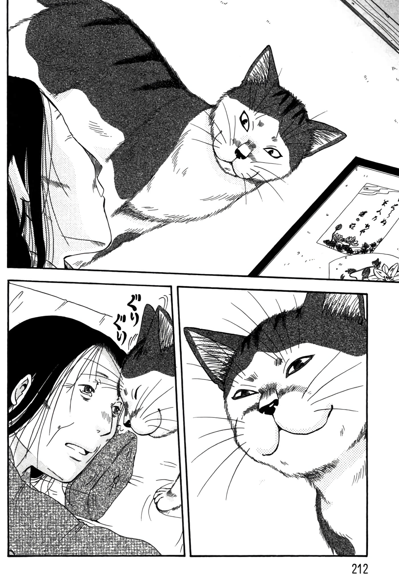 猫绘十兵卫 御伽草纸【1-25卷 11-25卷是生肉】【猫絵十兵衛 御伽草紙／貓繪十兵衛 御伽草紙 】-6