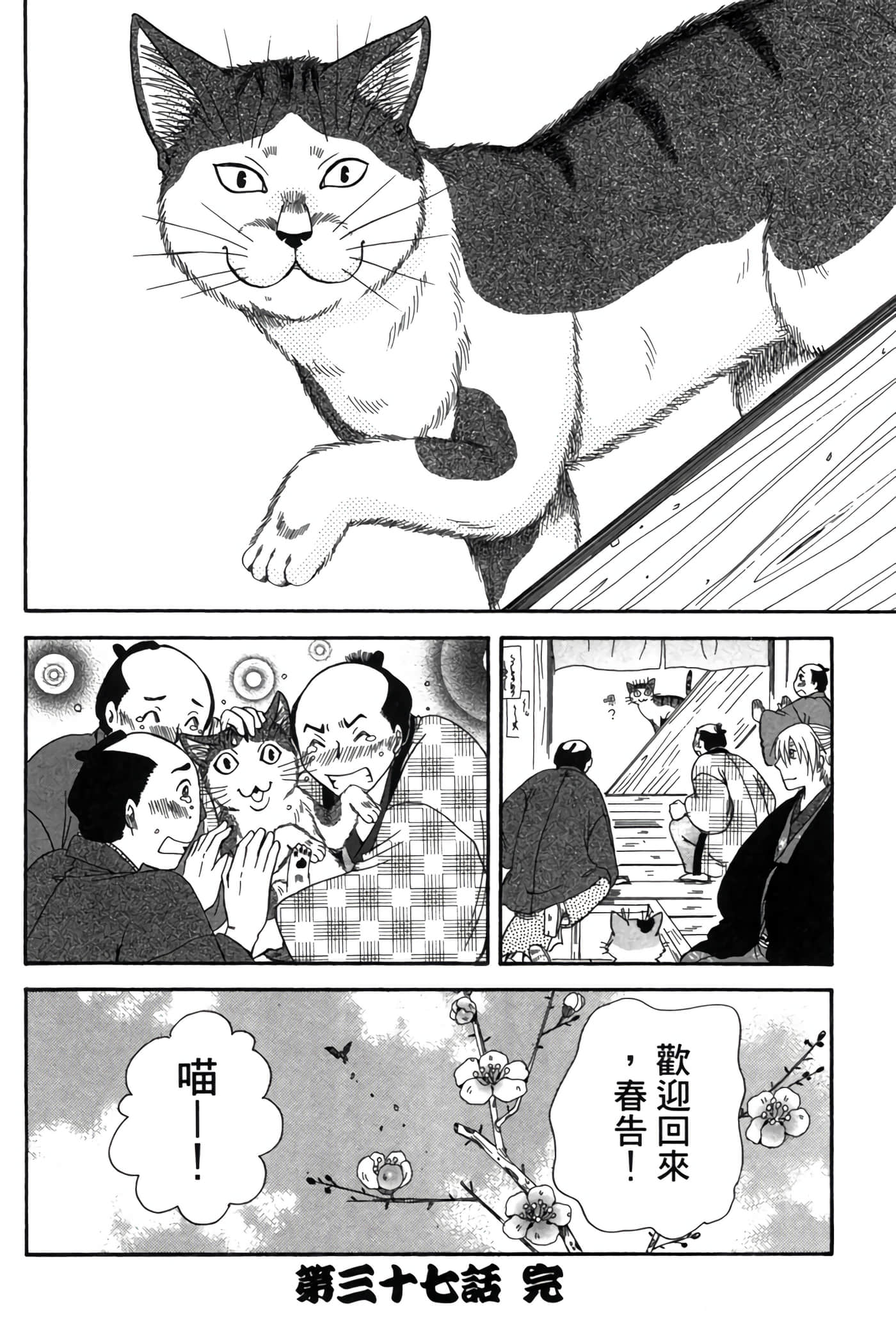 猫绘十兵卫 御伽草纸【1-25卷 11-25卷是生肉】【猫絵十兵衛 御伽草紙／貓繪十兵衛 御伽草紙 】-6
