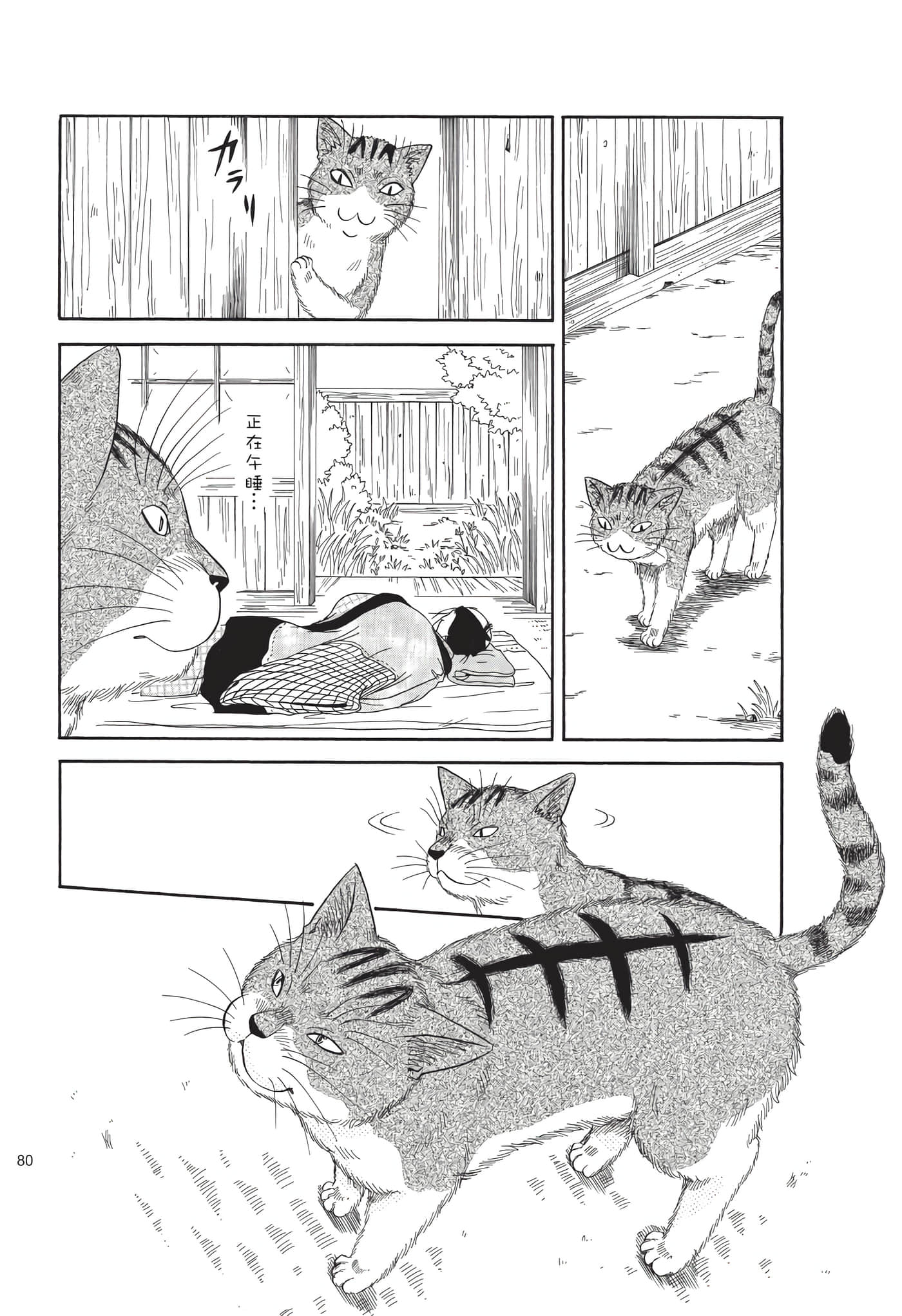 猫绘十兵卫 御伽草纸【1-25卷 11-25卷是生肉】【猫絵十兵衛 御伽草紙／貓繪十兵衛 御伽草紙 】-8
